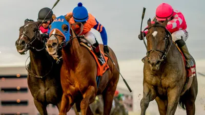 Best Horse Racing Bets Today | Aqueduct, November 18