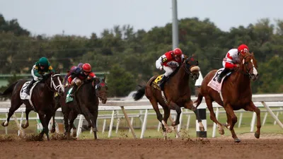 Best Horse Racing Bets Today | Gulfstream Park, February 3