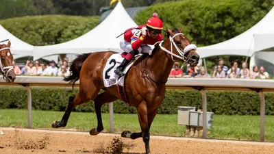 Best Horse Racing Bets Today | Oaklawn Park, February 24