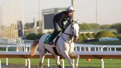 Saudi Cup Predictions, Odds, Picks (King Abdulaziz Racecourse)