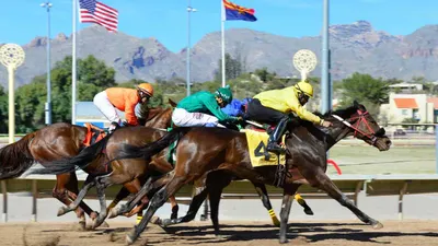 Best Horse Racing Bets Today | Gulfstream Park, March 2