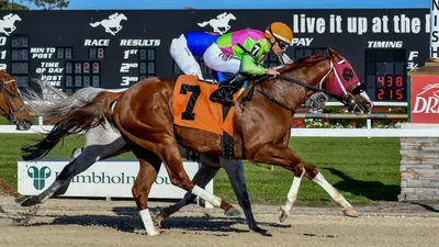 Best Horse Racing Bets Today | Tampa Bay Downs, March 9