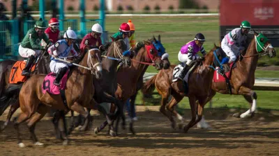 Best Horse Racing Bets Today | Thistledown, June 22