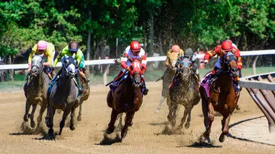 Best Horse Racing Bets Today | Saratoga, August 24