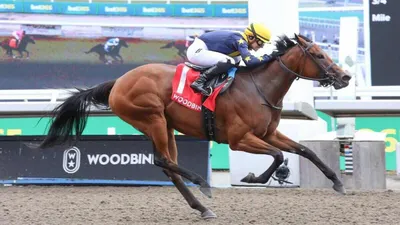 Best Horse Racing Bets Today | Woodbine, September 14