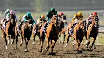 Breeders' Cup Classic (Del Mar) Predictions, Betting Odds, Picks 2024