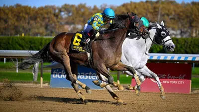 Best Horse Racing Bets Today | Aqueduct, November 9