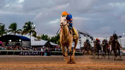 Best Horse Racing Bets Today | Gulfstream Park, February 1