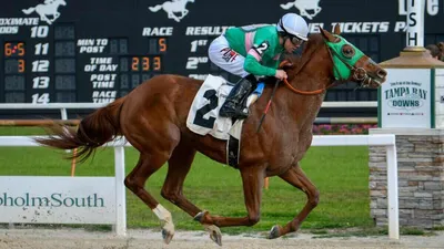 Best Horse Racing Bets Today | Tampa Bay Downs, February 8