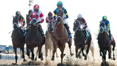 Best Horse Racing Bets Today | Fair Grounds