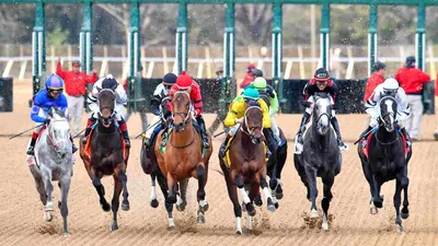 Best Horse Racing Bets Today | Oaklawn Park