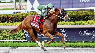 Best Horse Racing Bets Today | Gulfstream Park