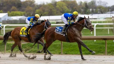 Best Horse Racing Bets Today | Laurel Park