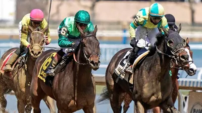Best Horse Racing Bets Today | Aqueduct