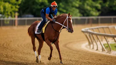 Best Horse Racing Bets Today | Preakness Stakes (Pimlico)