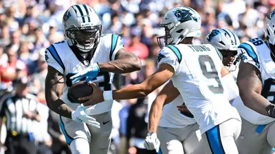 Carolina Panthers Odds