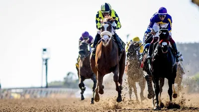 Breeders' Cup Classic Predictions, Betting Odds, Picks 2025: Sierra Leone and Fierceness Top $7 Million Race