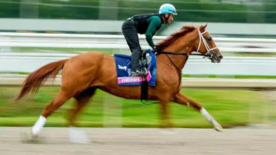 Pegasus World Cup Predictions, Odds, Picks 2026: White Abarrio Looks for Repeat in $3 Million Race