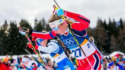 Winter Olympics Most Medals Odds, Predictions, and Best Bet