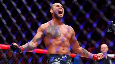 UFC Weight Classes: Ultimate Guide and Infographic
