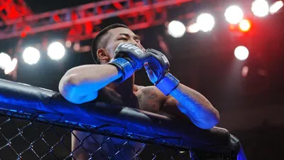 UFC 331: Van vs. Pantoja 2 - Odds, Predictions, Picks