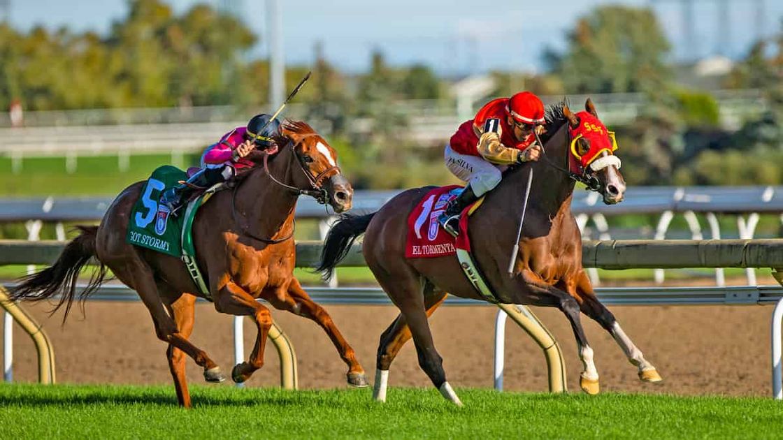 Woodbine Mile Predictions, Expert Picks, Betting Odds