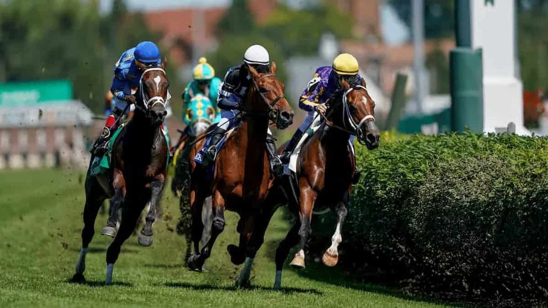 Beverly D. Stakes Predictions, Odds & Picks