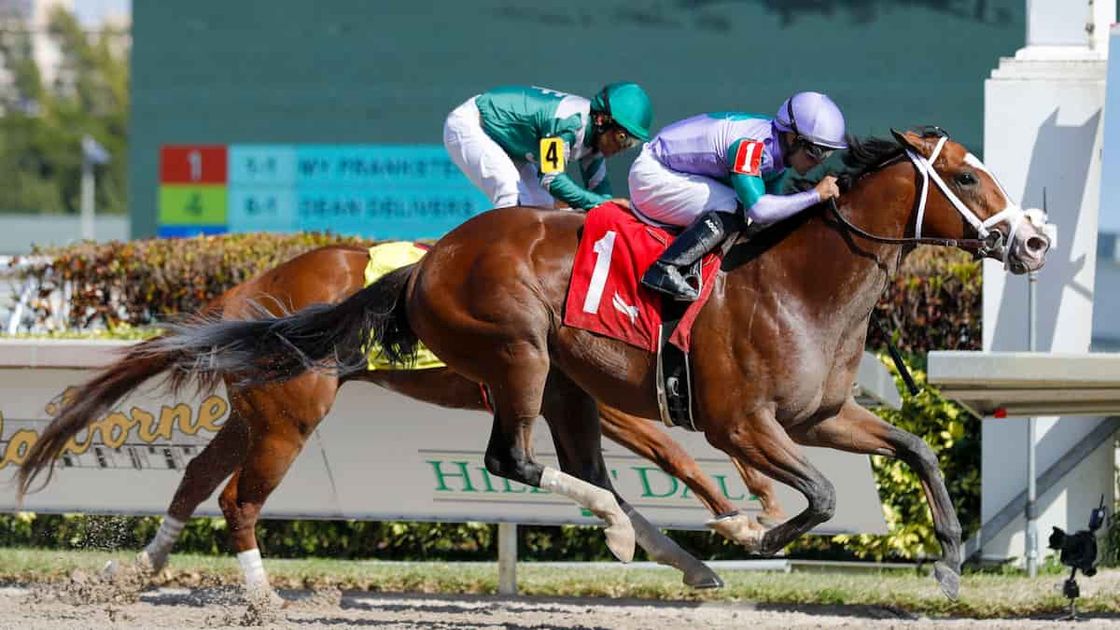 Schuylerville Stakes Predictions, Picks, Betting Odds (Saratoga)