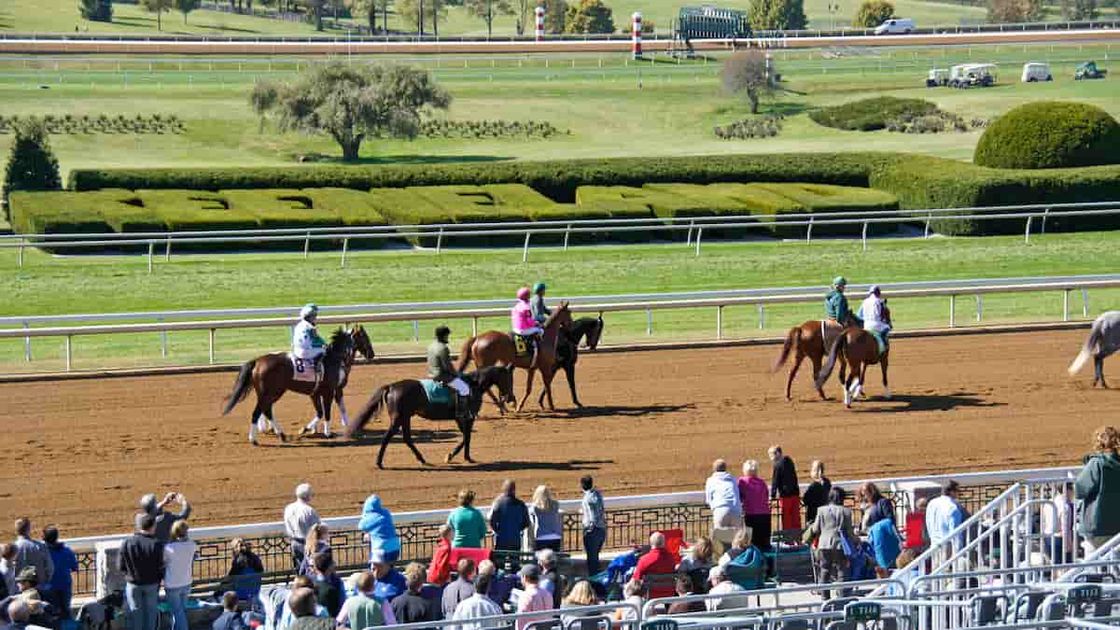 Ashland Stakes Predictions, Picks, Odds (Keeneland)