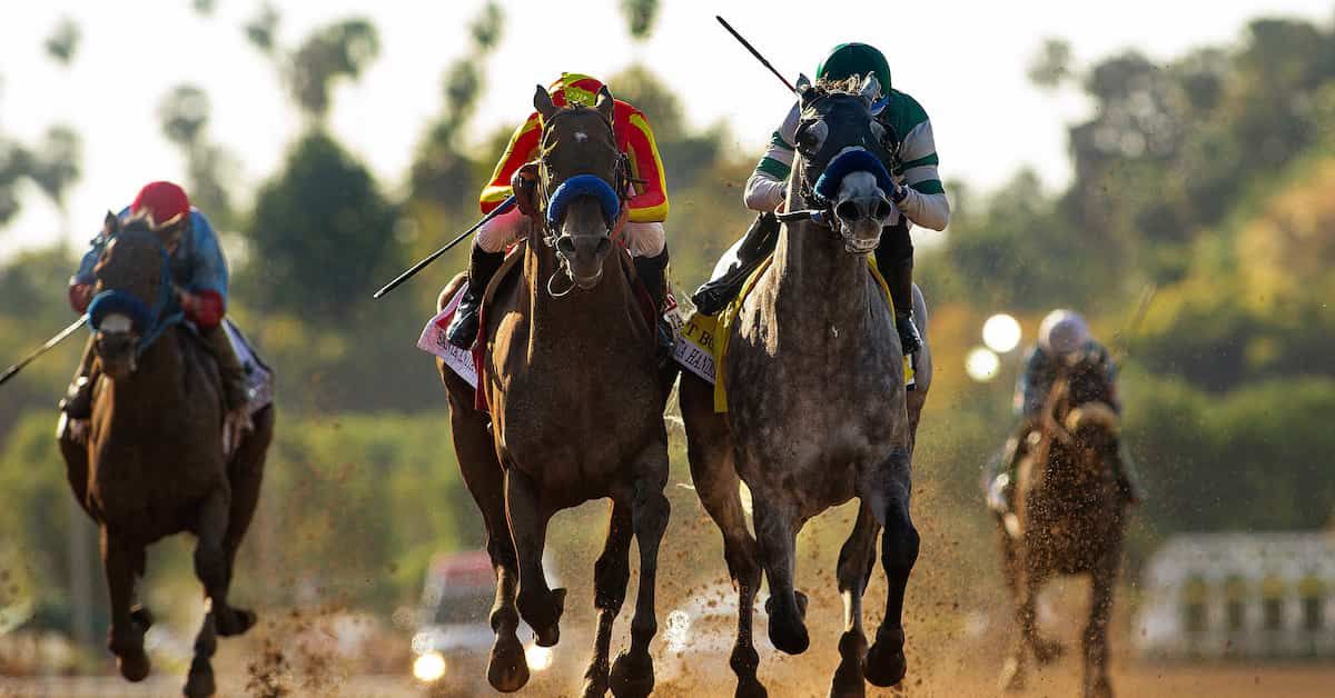 Santa Anita Handicap Predictions, Picks, Odds (Santa Anita Park)