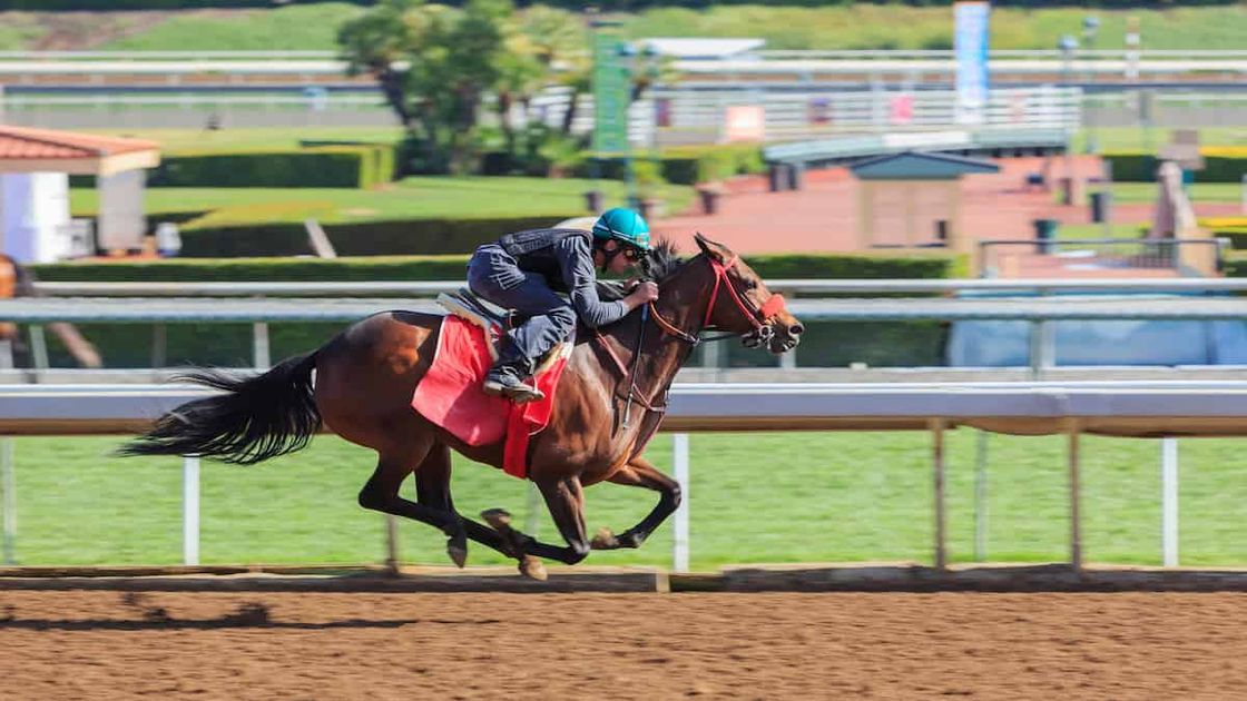 Dont Miss Out Dave Nevisons 3 Best Horse Racing Picks For Tuesday - ycgpq14