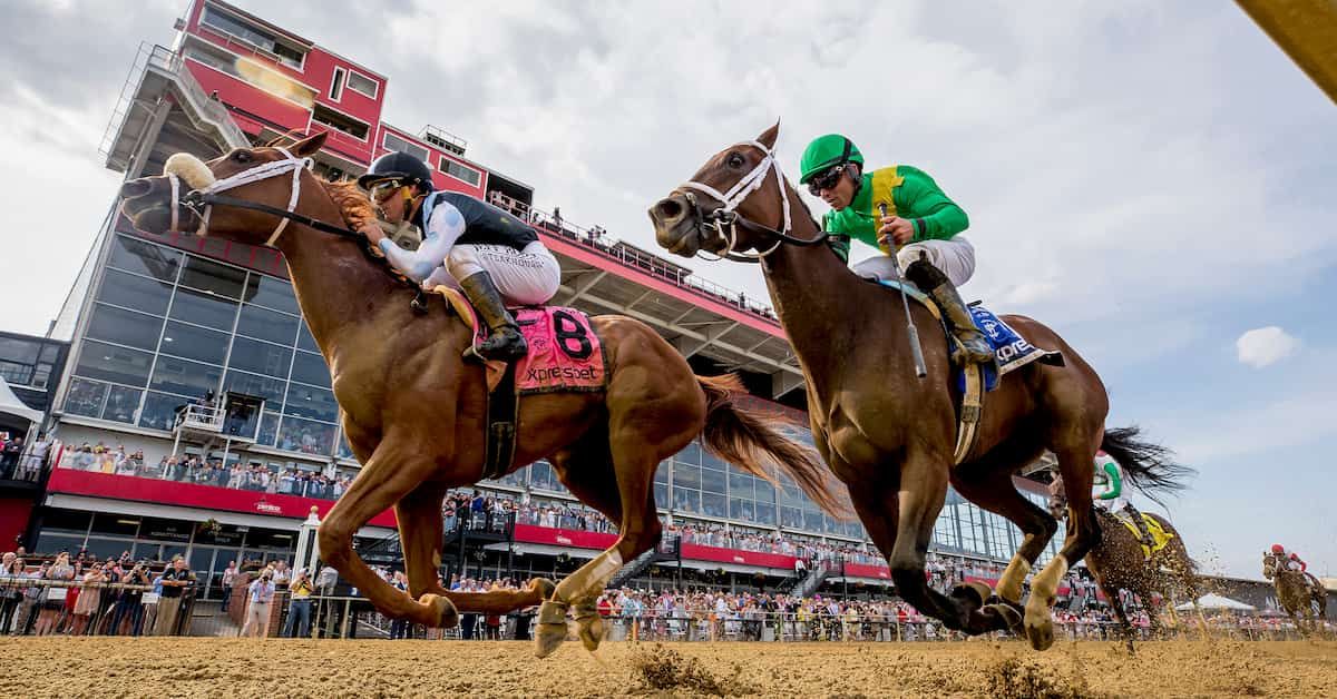 Pimlico Picks & Tips Expert Handicapping