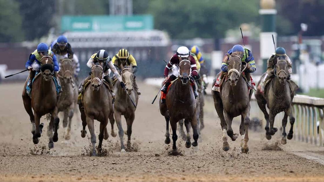 Remsen Stakes Predictions, Betting Odds, Top Pick (Aqueduct)