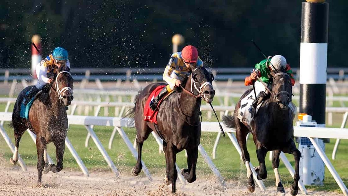 Tampa Bay Derby Predictions, Picks, Odds (Tampa Bay Downs)