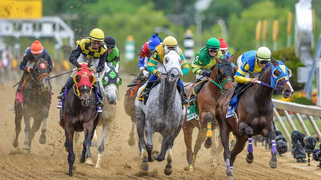 The Preakness Stakes Best Exacta, Trifecta & Superfecta Picks
