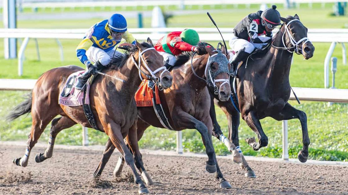 Best Horse Racing Bets Today Fair Grounds, December 23