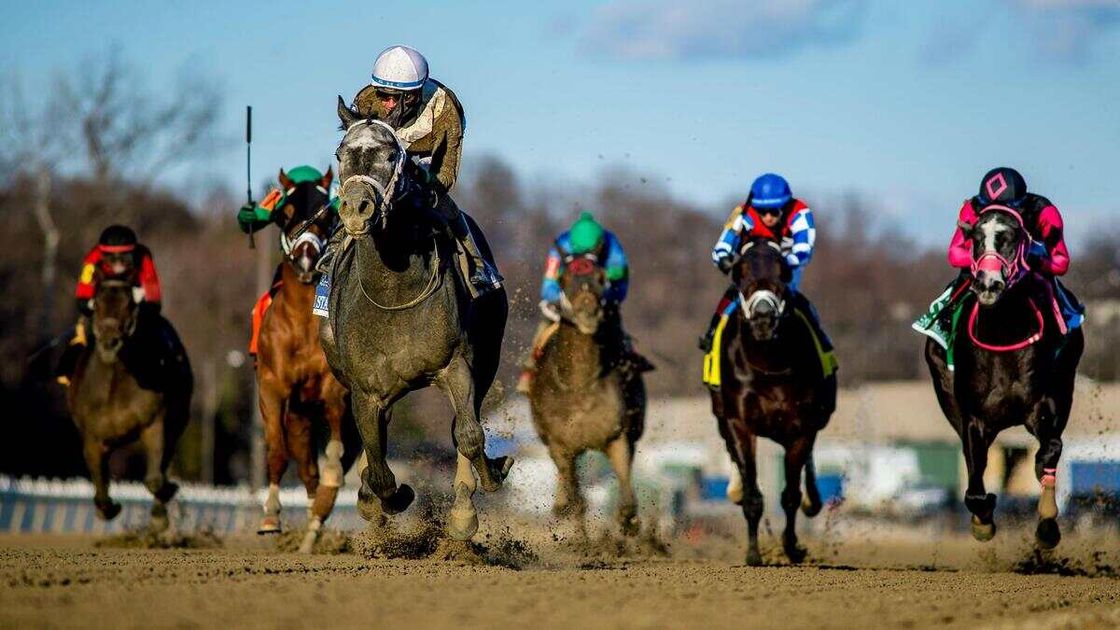 Best Horse Racing Bets Today | Laurel Park, October 12