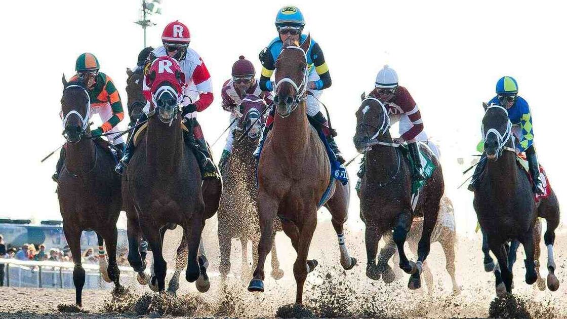 Best Horse Racing Bets Today | Fair Grounds, February 15